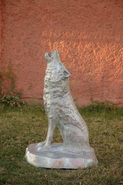 Product-img