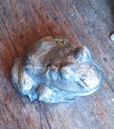 Product-img