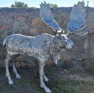 Product-img